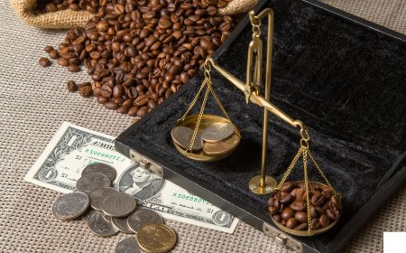 More coffee roasters are opening every year: What does this mean for traders?