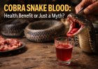 Cobra Snake Blood: Health Benefit or Just a Myth?