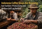 Indonesia Coffee Shops Are Booming, but Farmers’ Productivity and Welfare Still Lag Behind