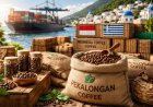 First Export of 2026: Pekalongan Coffee Enters the Greek Market