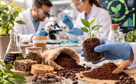 Scientists Explore How Coffee Waste Could Become a Sustainable Resource