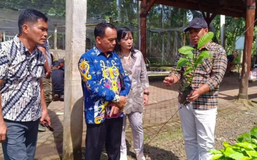 Bulungan Imitates Coffee–Cocoa Research Center Strategy to Boost Farmers' Welfare